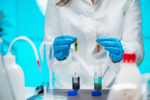 analisi laboratorio muffa